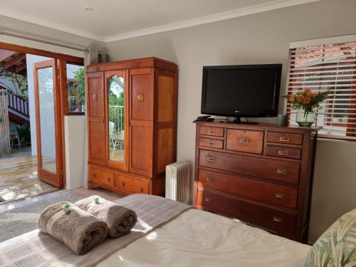 Forest & Pine Forest & Pine