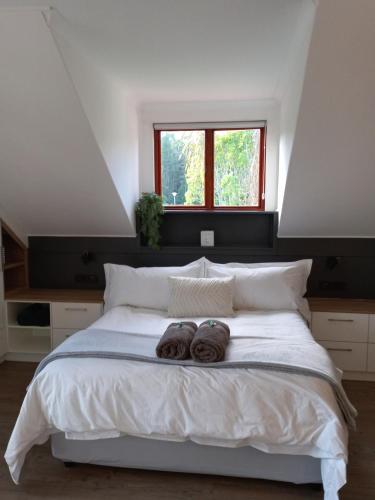 Forest & Pine Forest & Pine