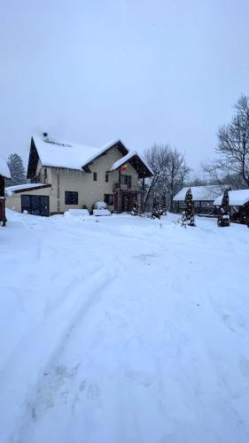 Pensiunea 7 Brazi