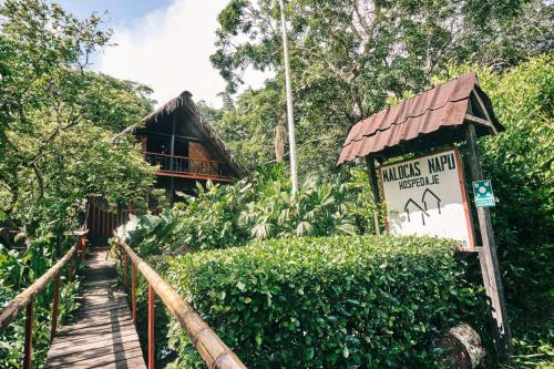 Maloka Napu - Ecodestinos Puerto Narino