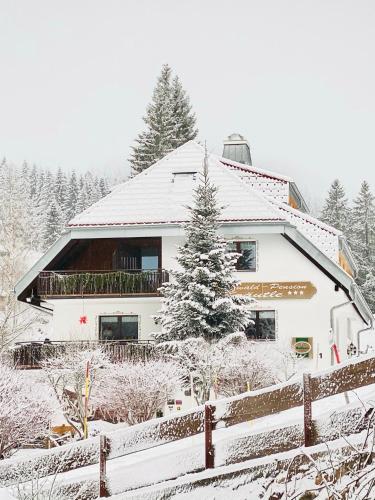 Schwarzwald-Hotel Kraeutle