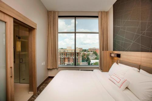 SpringHill Suites by Marriott Athens Downtown/University Area