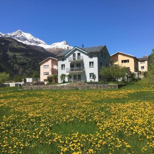 Schöne, sonnige 25-Zimmer Parterre-Ferienwohnung, Pension in Poschiavo bei Viano