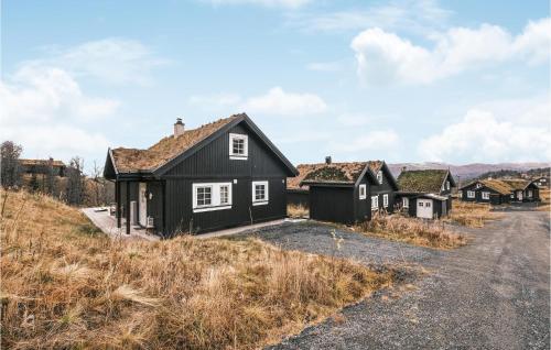 Nice Home In Rauland With Kitchen - Rauland