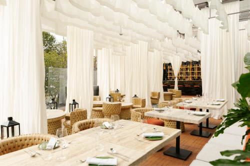 W Hotel Mexico City - image 3