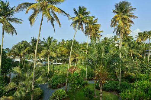 St. Regis Bahia Beach Resort, Puerto Rico