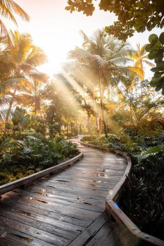 St. Regis Bahia Beach Resort, Puerto Rico