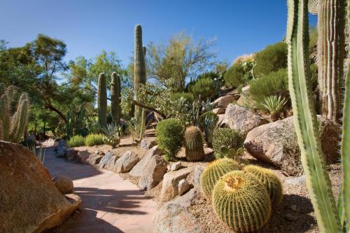 The Phoenician, a Luxury Collection Resort, Scottsdale