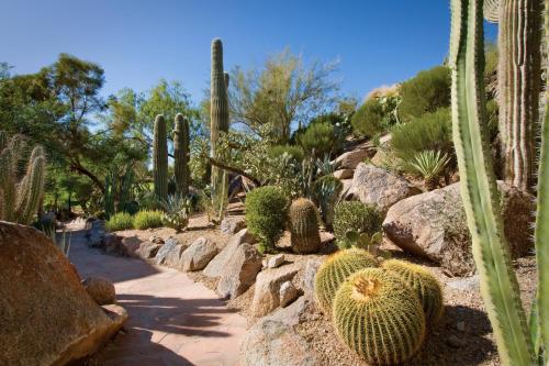 The Canyon Suites at The Phoenician, a Luxury Collection Resort, Scottsdale