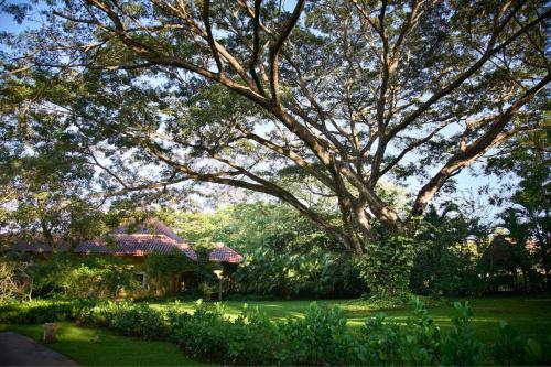 The Westin Reserva Conchal, an All-Inclusive Golf Resort & Spa