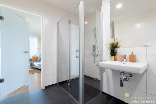 PINEAPPLE APARTMENTS - Altstadt III - 91qm - 1x free parking, Dresden (Foto 9)
