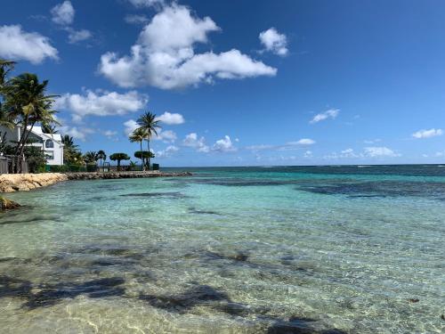 T3 LES PIEDS DANS L'EAU à ST ANNE