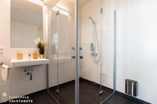 PINEAPPLE APARTMENTS - Altstadt V - 112qm - 1x free parking, Dresden (photo 10)