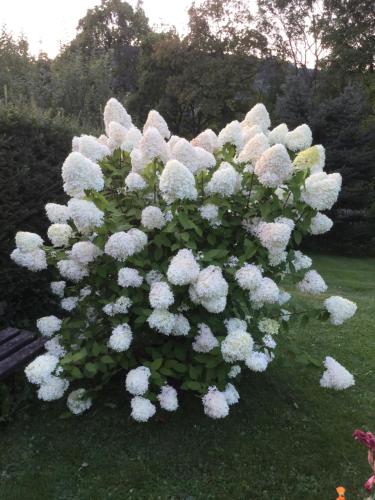 Kert, Haus-Petra-Maria in Bad Schlema