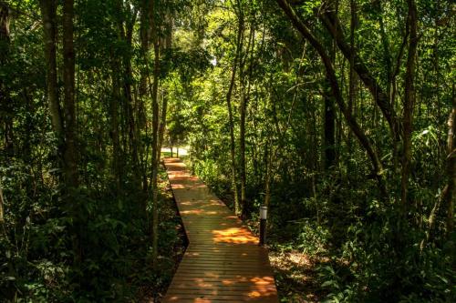 . Momora distrito selva