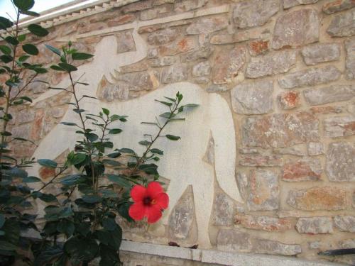 Ξενώνας Κέδρος, Leonidi (Foto 6)