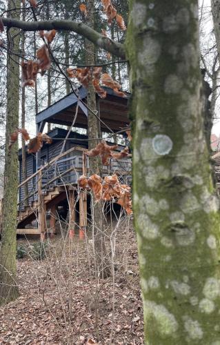  Waldhütte Fuchsbau in Fürstenfeld