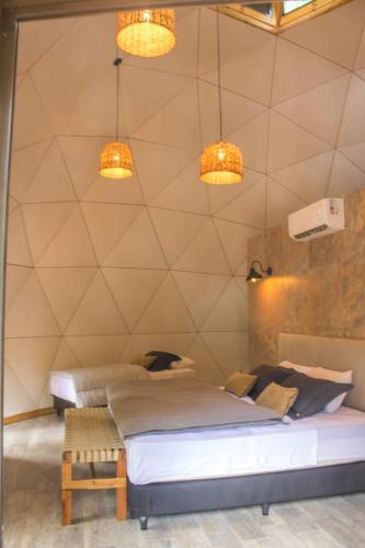 Momora distrito selva