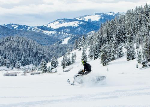 Flying Saddle Resort and Steak House in Alpine, USA