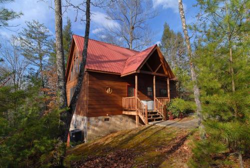 A Bear Moment #112 by Aunt Bug's Cabin Rentals - image 2