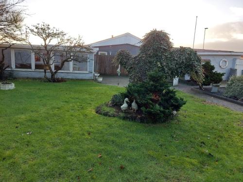 grădină, Venos rooms in Hirtshals