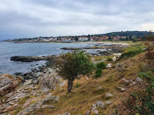 Pension Sandbogaard - image 9