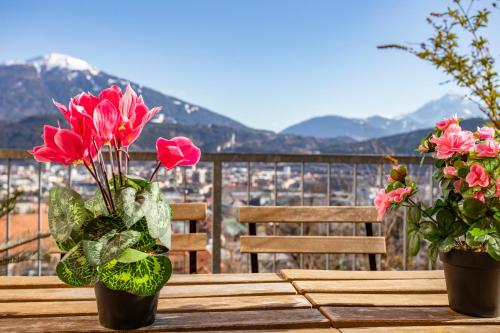 Hilltop Innsbruck Apartment I free parking Innsbruck