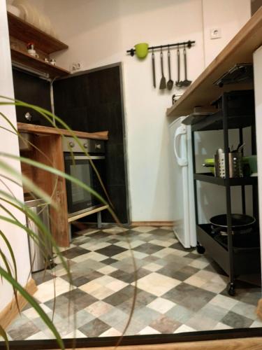 Alexandar - image 11