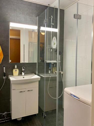 Shower, Huttu 2 - Ihqu kaksio mahtavalla sijainnilla in Iisalmi