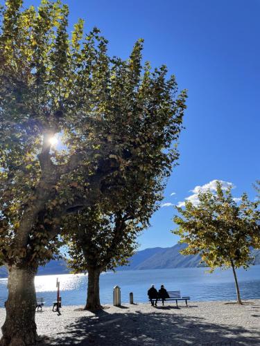 Mon Bijoux, Ascona (foto 3)
