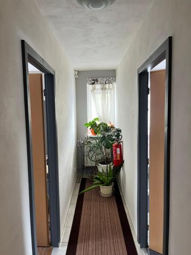 Penzion Pomodoro - image 6