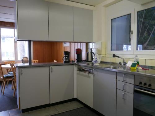 Apartment Chalet Shangri La by Interhome in منطقة هيرشافت