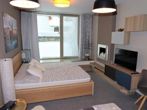 Studio Certovka U jelena by Interhome in Harrachov