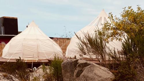 Totoralillo Glamping