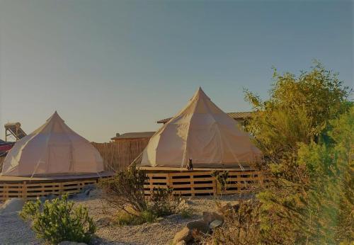 Totoralillo Glamping