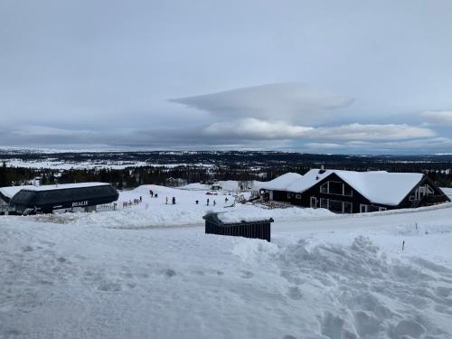 Bualie Golsfjellet