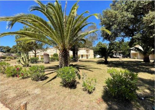 Appartement de 2 chambres a Lecci a 600 m de la plage avec piscine partagee jardin clos et wifi