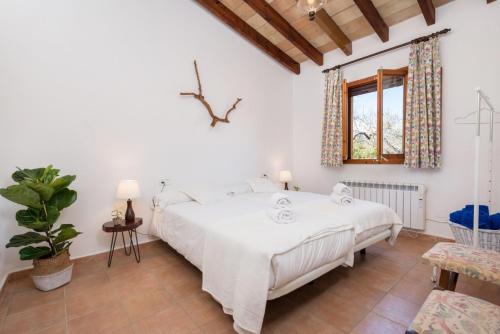 YourHouse Lemontree - Can Antic - image 10