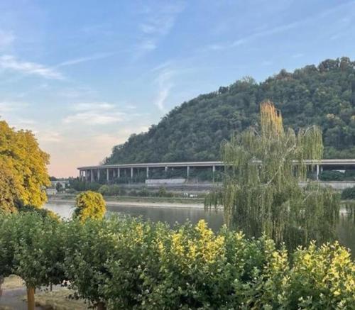 _Ferienhaus Leutesdorf Rheinzeit 614 schönes Haus direkt am Rhein