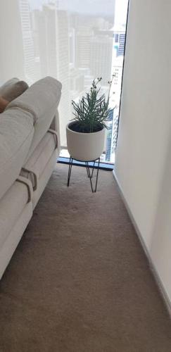 Executively Inspired - 2 Bed 2 Bath Apt on Queen St with Carpark Fast WiFi Rooftop Pool and Sleeps 5 - image 4