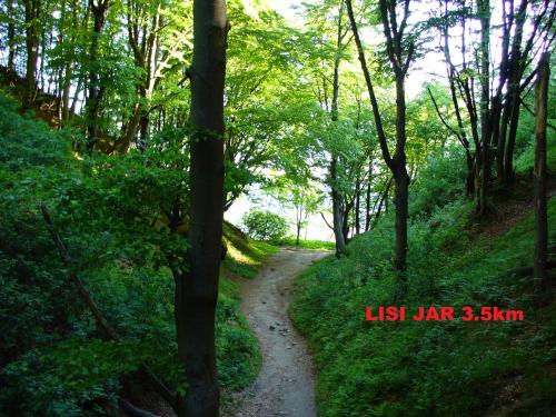 Pod Wierzbą - Mieroszyno (Pod Wierzba - Mieroszyno) in Mieroszyno