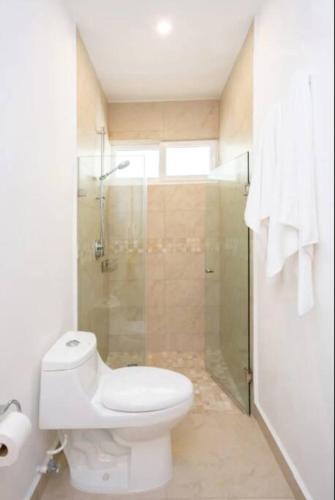 Penthouse Akumal Condo