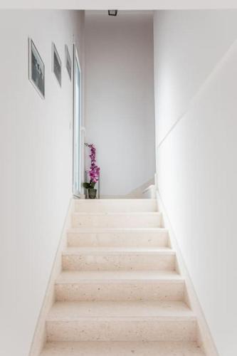 Holiday home Marina-renovated house in city center, Rogoznica (photo 10)
