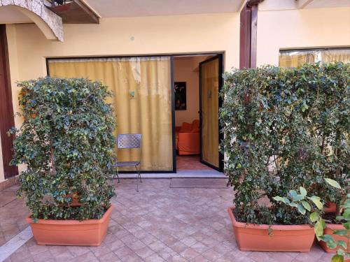 One-Bedroom Apartment image 8