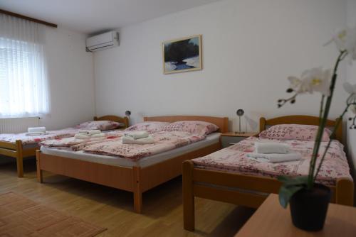  Prenoćište Džinić in Županja