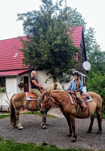 Dom Sielski w Górach Stołowych