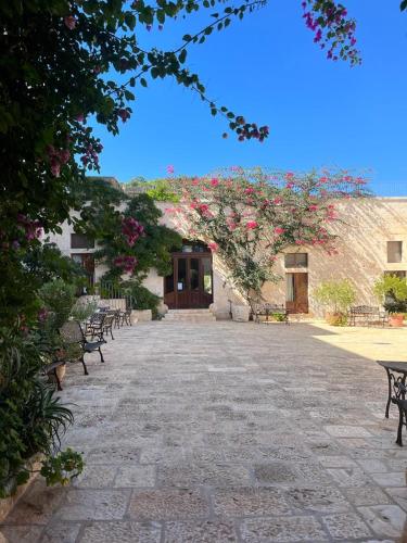 Masseria Morrone - image 11
