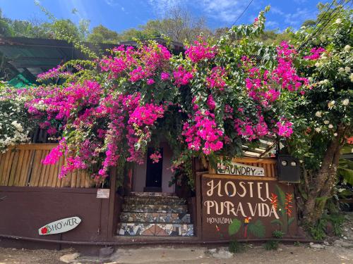 Pura Vida Hostel