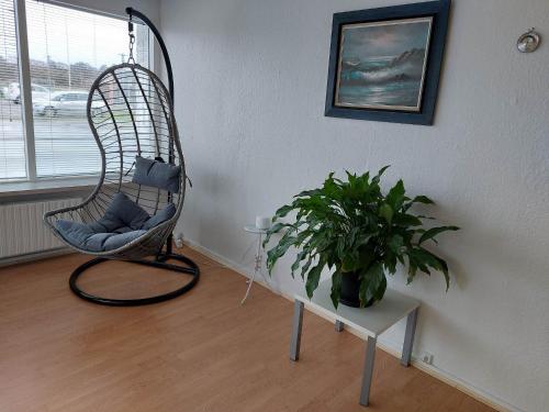 Dotări, Venos rooms in Hirtshals