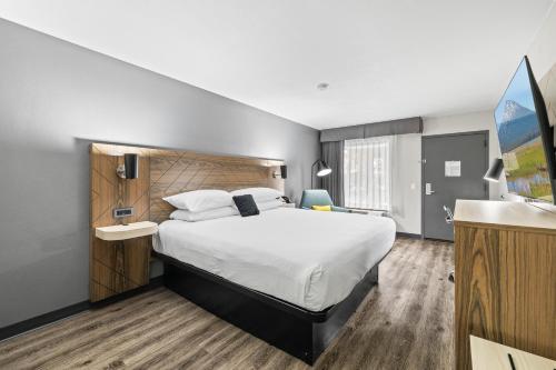 1 king bed